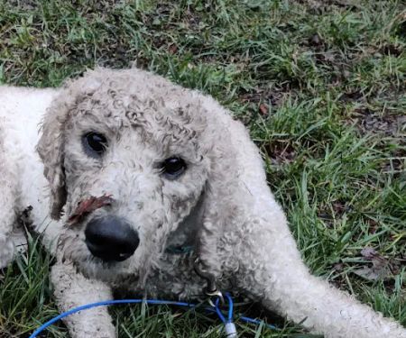 Potter County Family Campground