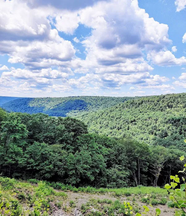 Potter County Family Campground Picture 3