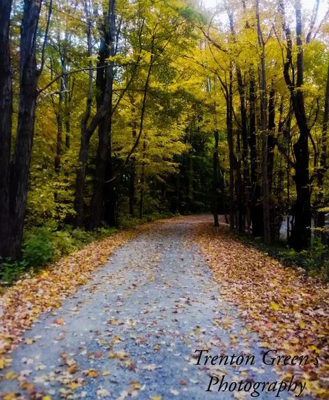 Lake Demmon Campground Picture 5