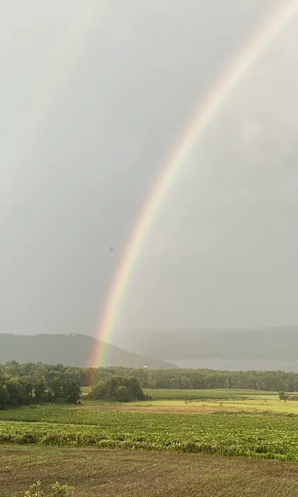 QKA View Campsites Picture 1