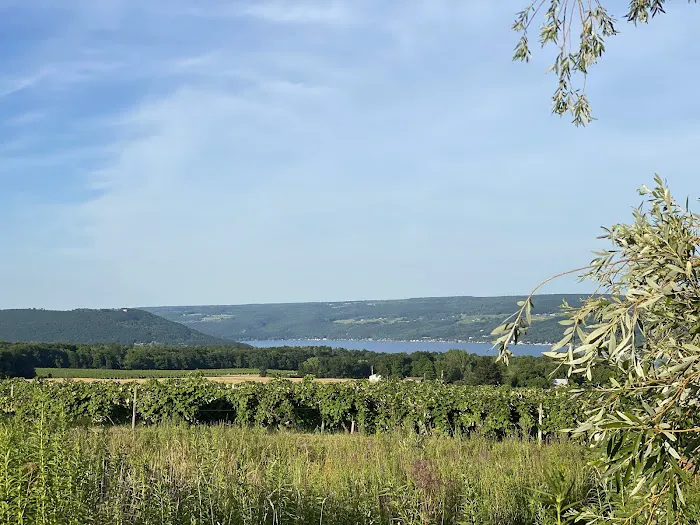 QKA View Campsites Picture 6