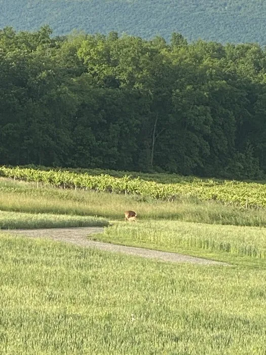 QKA View Campsites Picture 7