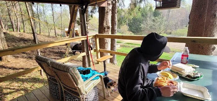 The WAG Trail Inn Tree House Picture 10