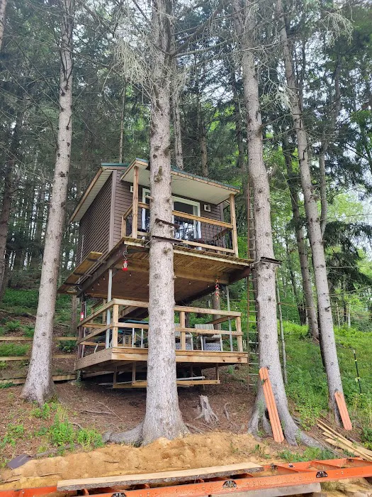 The WAG Trail Inn Tree House Picture 9