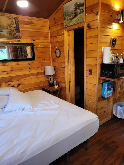 The WAG Trail Inn Tree House Picture 2