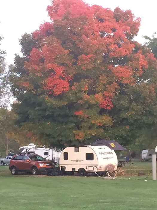 Trout Run Camp Resort Picture 2