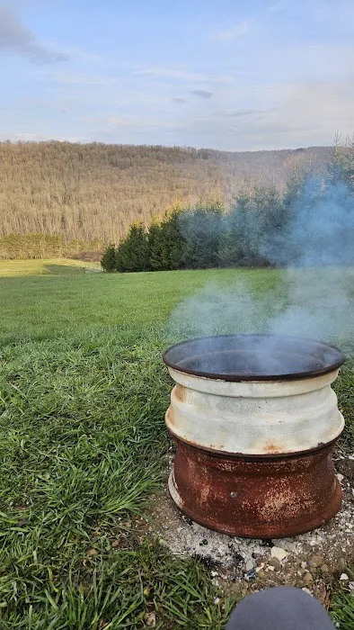 Bines Hill Campsites Picture 1