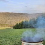 Bines Hill Campsites