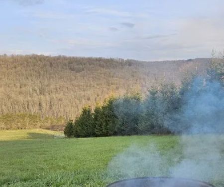 Bines Hill Campsites