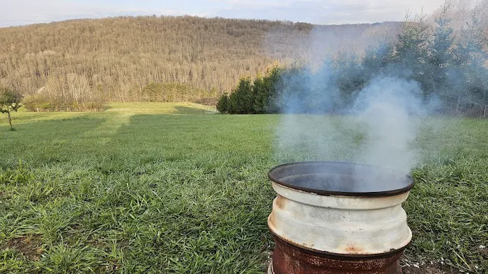 Bines Hill Campsites Picture 2