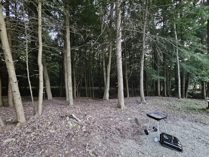 Deer Run Campgrounds Picture 5