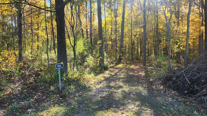 Lakeview Camp Sites Picture 3