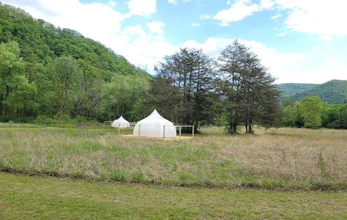 Green Acres Glampground Picture 7
