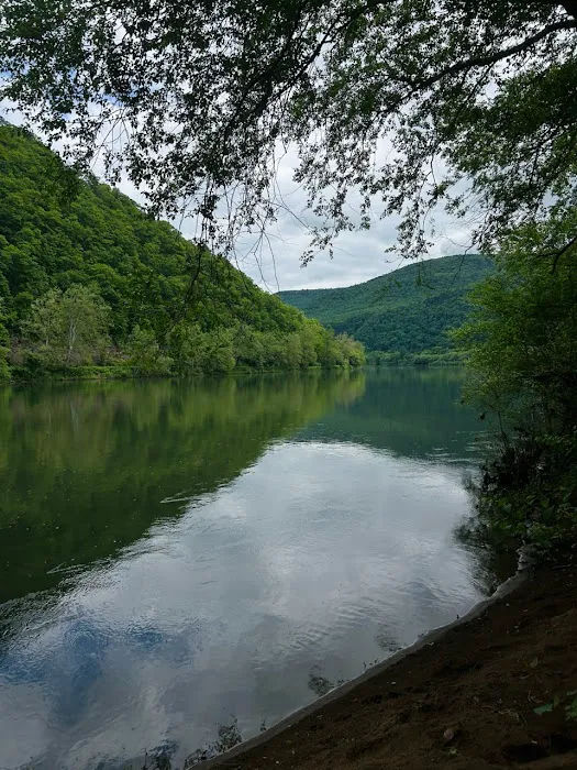 Green Acres Glampground Picture 5