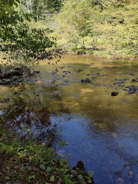 Marvin Run Campground Picture 8