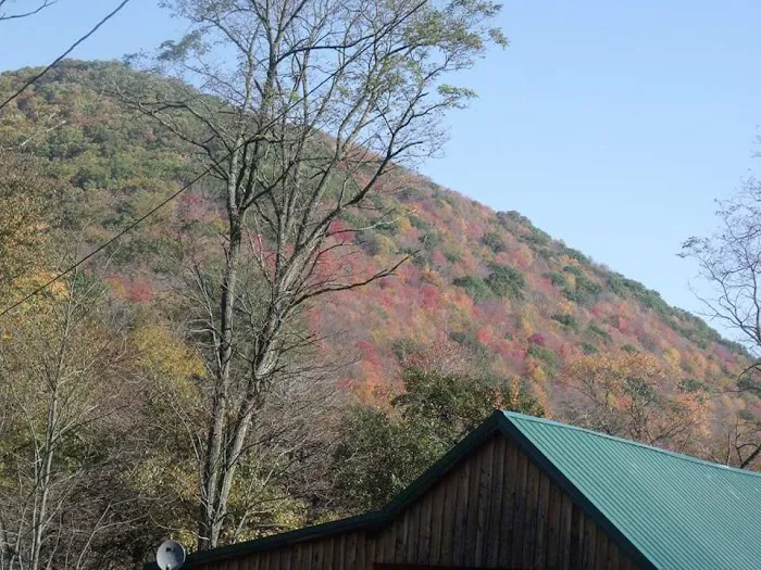 Marvin Run Campground Picture 4