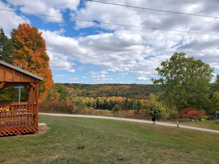 Tumble Hill Campground Picture 7