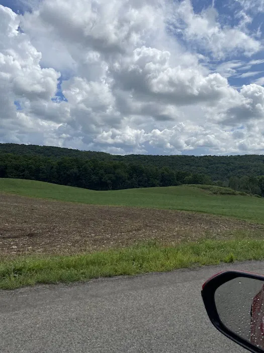 Tumble Hill Campground Picture 3