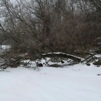 Kanakadea Recreation Area ico