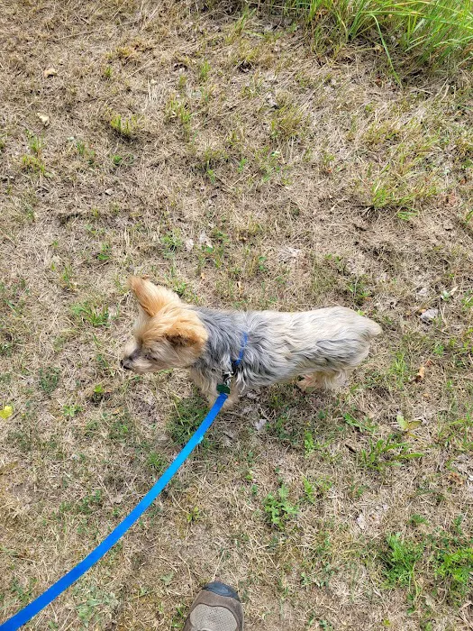 Kanakadea Recreation Area Picture 8