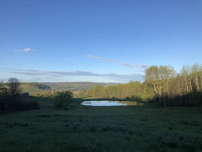 Cougar mountain Picture 2