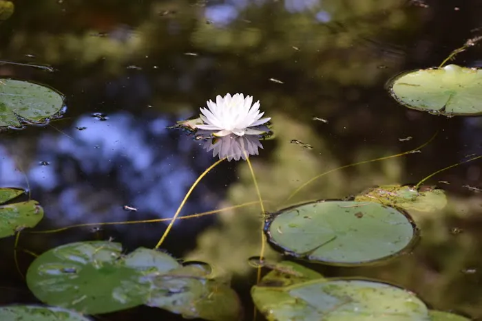 Circle 'C' Campground, Inc Picture 1