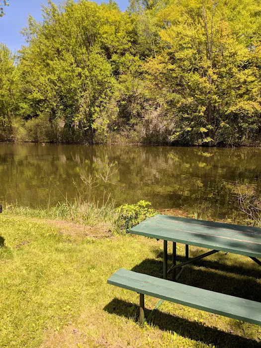 Champs RV Resort Picture 8