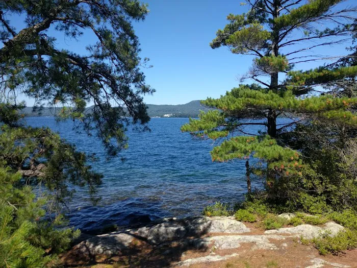 Huckleberry Island Campground Picture 4