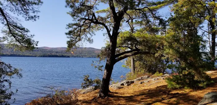 Huckleberry Island Campground Picture 7