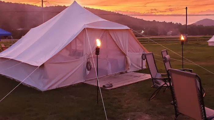 Adirondack Safari Picture 8