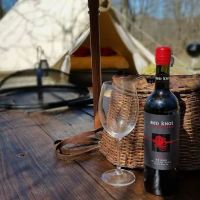 Adirondack Safari ico