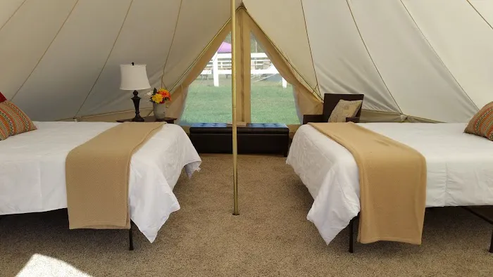 Adirondack Safari Picture 5