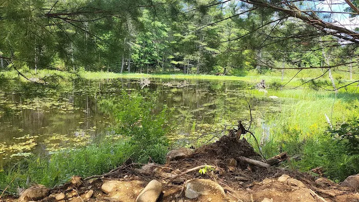 Dry camping Picture 4