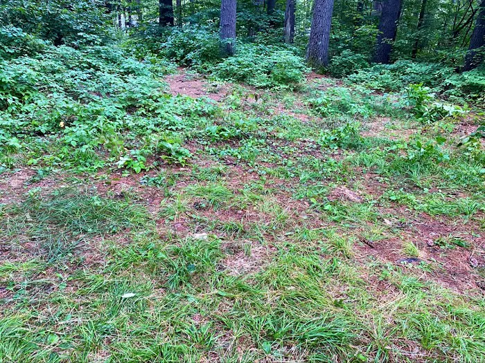 Schroon River Campsites Inc Picture 6