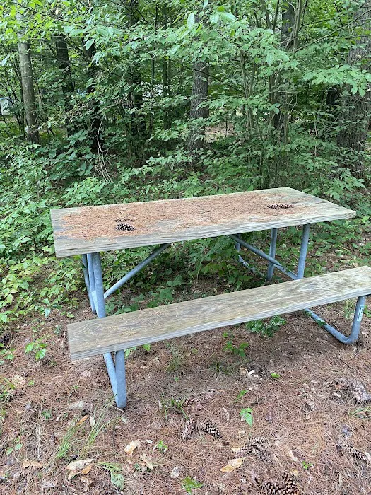 Schroon River Campsites Inc Picture 3