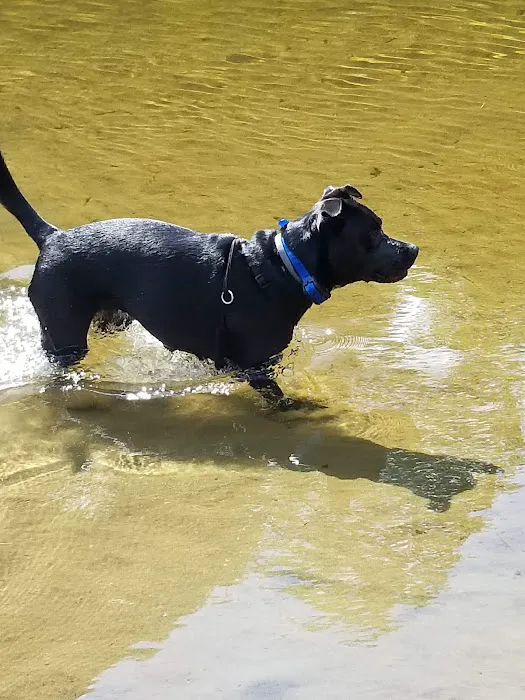 Adirondack Adventure Resort Picture 7