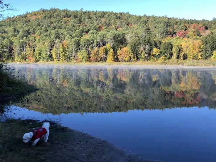 Crown Point Camping Area Picture 6