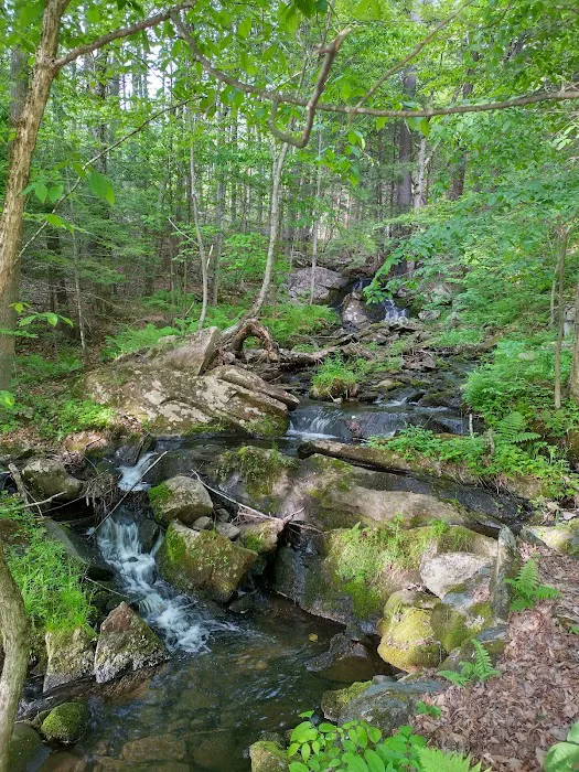 Crown Point Camping Area Picture 10