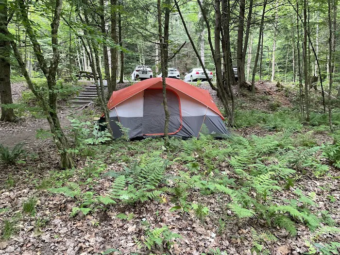 Sweet Song Acres Picture 9