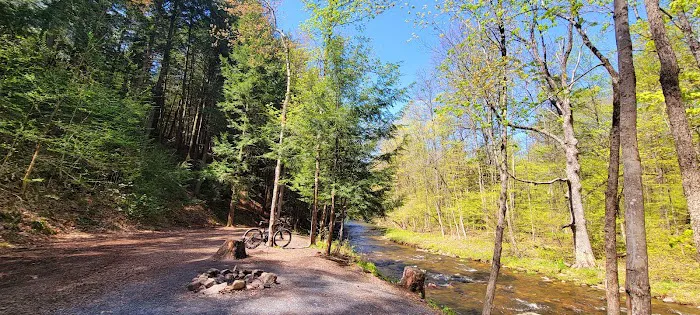 Sweet Song Acres Picture 10