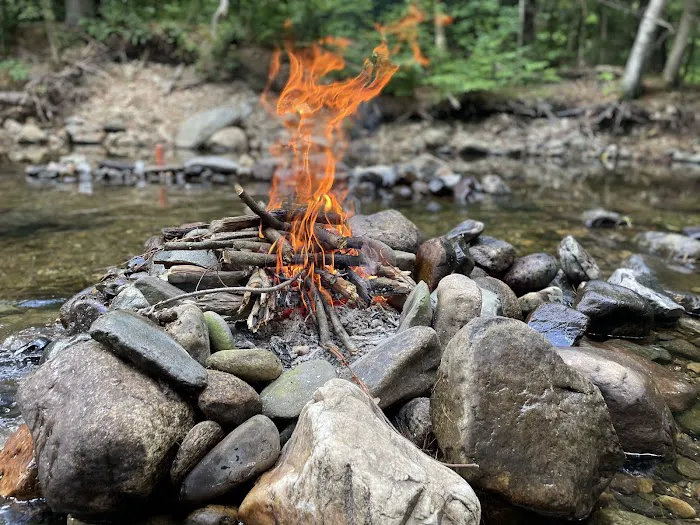 Sweet Song Acres Picture 4