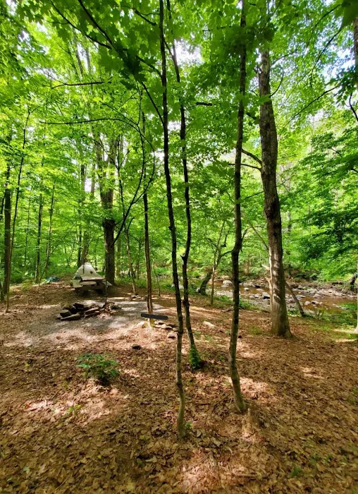 Sweet Song Acres Picture 3