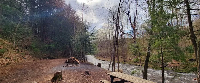 Sweet Song Acres Picture 1