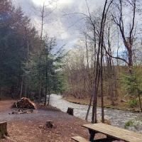 Sweet Song Acres ico