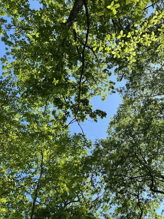 Hide - A- Way Cove Family Campground Picture 8