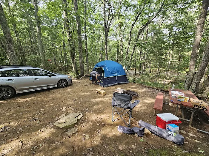 Sutton Falls Camping Area Picture 9