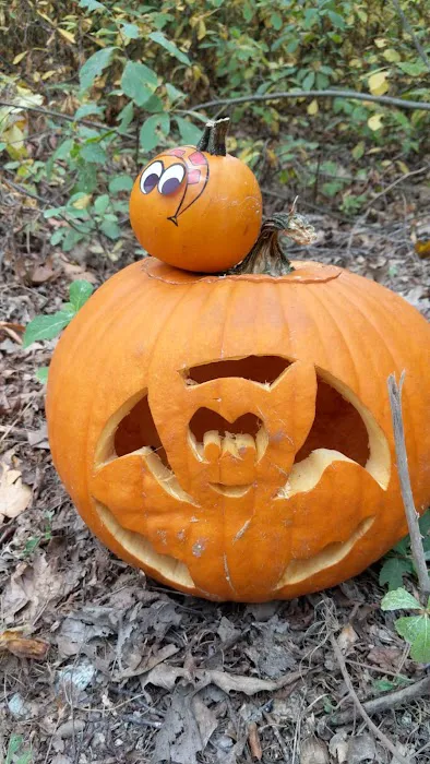 Bowdish Lake Camping Area Picture 6