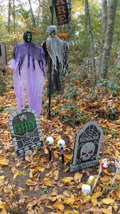 Bowdish Lake Camping Area Picture 3