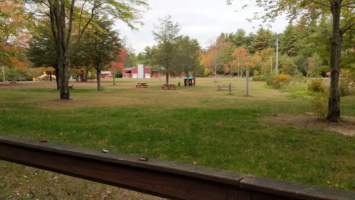 Bowdish Lake Camping Area Picture 2