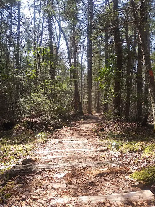 George Washington State Campground and Management Area Picture 9